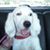 Sharon Cilley Spicer's profile image