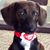 Valorie Bauer's profile image