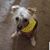 Darin N Mary Solomon's profile image
