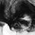 Jennifer Hanley Froomkin's profile image