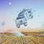 Beverley Stott's profile image