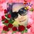 Judith Zai's profile image