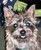 Kathy H.'s profile image