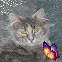 Bonne Hargan's profile image