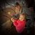 Sarah Anderson Oswald's profile image