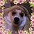 Stacy Christensen's profile image