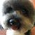 Sandi F.'s profile image