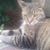 Ann A. Dean's profile image