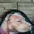 Ronene Ando's profile image