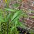Linda Carmen Hoke's profile image