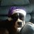 Tom Yeager's profile image