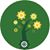 Raj Sandip Mitra's profile image