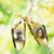 Maria Ketchum Andrews's profile image