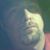 Daniel Johnson's profile image