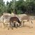 Priscilla Holliday Hammons's profile image