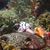 Debra Smith's profile image
