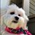 Sherry C Roberts's profile image