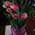 Karen Bott's profile image