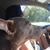 Amy Torres McCoy's profile image