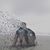Anthony Maysonet Rios's profile image