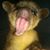 Darcy Nachtmann's profile image