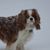 Michelle Mitchell Fairley's profile image
