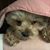 Michele K Derry's profile image