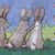 Carolyn Christopher's profile image