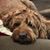 Michelle Patterson Gillespie's profile image