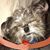 Cathi Weldon LeMand's profile image