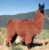 William R.'s profile image