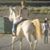 Christine Hemp's profile image