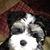 Jan Mills Singleton's profile image