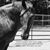 Shannon Habenicht's profile image