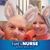 Holly Mayberry's profile image