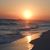 Lisa Reeves Miller's profile image