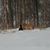 Dianne Cole's profile image