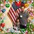 Debbie Plakas's profile image
