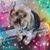 MaryKay Koroulis Albrechtson's profile image