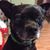 Teresa Fultz's profile image