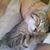 Lisa Klimek's profile image