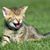 Kathleen Bickell's profile image