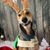 Philip Campbell's profile image