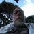 Bob Southworth's profile image
