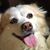 Belinda Vaughters's profile image
