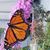 Vicki Hockenberry Hinchman's profile image
