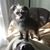 Wendy Rath Dobson's profile image