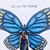Claire Anderson's profile image