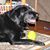 Linda Denny Bramhall's profile image