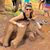 Amanda Factor Yale's profile image
